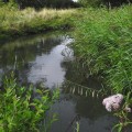 Hoeveel verdient een tuinbedrijf uk?