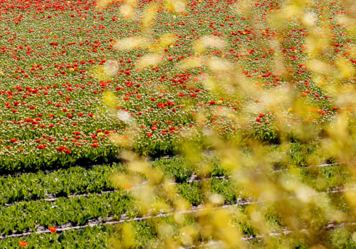 Hoeveel verdienen tuinders uk?