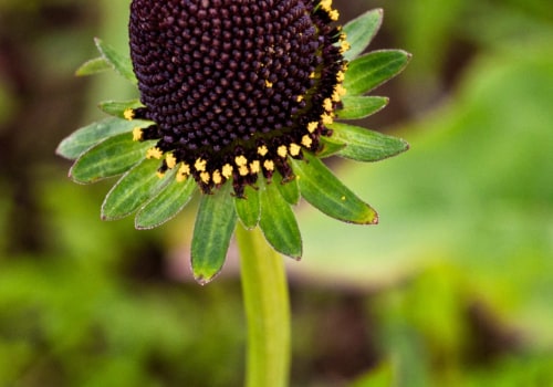 Hoeveel rekenen tuinders per uur?